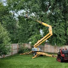 Grass Overseeding in Seneca Knolls, NY